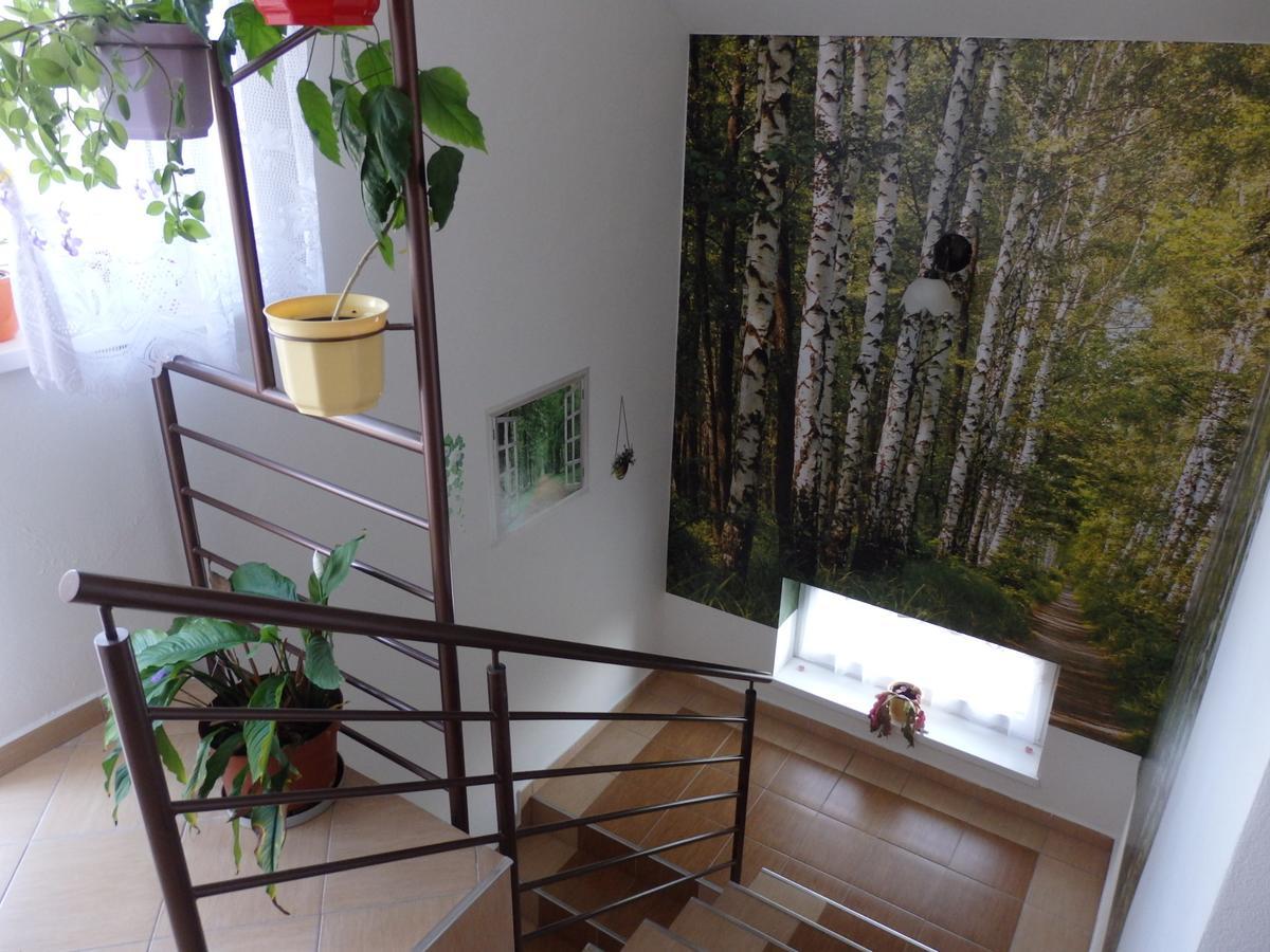 Pivnicka Pod Cachtickym Hradom Hotel Čachtice Buitenkant foto
